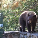Eagle_29_Aug_2026