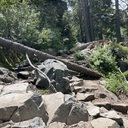 Activity Photos