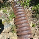 PCT Trail Graffiti near Echo
