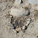 2 Fire Pits Removed @ Ropi Lake