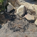 2 Campfire Pits Removed at Twin Lakes