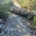 Rubicon Trail - Logs Across the Trail