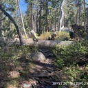 Grouse Lake Trail - 5.23.2026