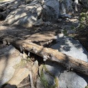 Eagle Lake 06_03_2025