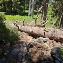 Tyler Trail 7/25/2026
