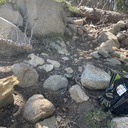Small Limb Cuts Grouse Lake Trail