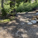 Issue - Grouse Lake Designated Campsite Doesn't Meet LNT