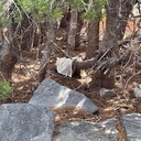 Twin Lakes Trash