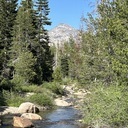 Lyon’s Creek Trail - June 12, 2024