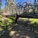 Lyon’s Creek:  June 17th, 2024