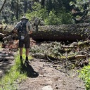 Red Peak Trail :  June 23, 2024