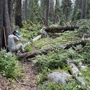 Red Peak Trail Log-out:  July 15, 2024