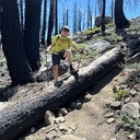 Ralston Trail Encounter Monitoring - August 10, 2024