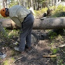 Twin Lakes/Grouse Lake Trails, Trail work - May 31, 2026
