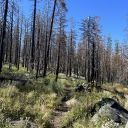 Lyon’s Creek Trail - September 10, 2023