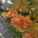 Grouse Lake:  October 6, 2023