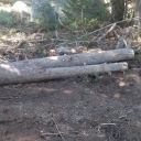Highland trail 23 June 21