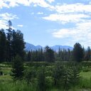 Red Peak Trail, 7-15-2024