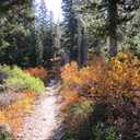 Encountering Fall Color, 9-24-2026