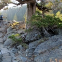 Tamarack Trail Recon Hike, 8-3-2022