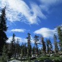 Grouse, Hemlock, & Smith Lakes, 8-10-2022