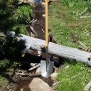 Lyons Creek Trail - Downed Trees 6/25/17