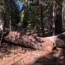 Meeks Bay Trail to Crag Lake 5-28-21 