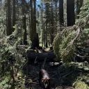 Meeks Bay Trail 7-8-23