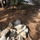 fire ring at lower leland lake