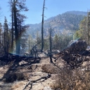 stoney ridge fire