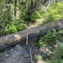 Meeks 07-06-23