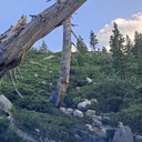 Gertrude, Rockbound Pass, Lois, Schmidell 07-20-24