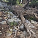McConnell Lake Loop