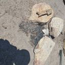 Doris/Lois Fire rings 8/26