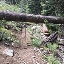 Susie trail hazards 7/18/26