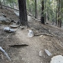 Trail Work Needed - Bayview Trail