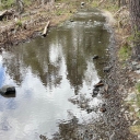 5/28/22 Water on Glen Alpine Trail