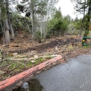 5/28/22 Brush Clearing at Glen Alpine