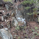 5/28/22 Grafitti?