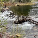 5/28/22 Outflow From Lily Lake, Glen Alpine Creek and Lower Glen Alpine Falls from Above