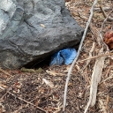 5/28/22 Trash and Camp Fire at Glen Alpine
