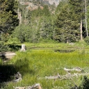 07-08-22 Grass Lake Log Out - See Captions