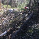 Highland Trail