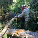 Highland Trail July 1st 2021