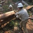 Red Peak Trail clearing, 8/12/2021