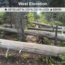 Trees across Cascade Creek use traili
