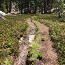 Grouse, Hemlock, Smith 14 June `21