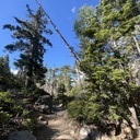 Eagle Falls TH