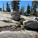 Gertrude fire ring