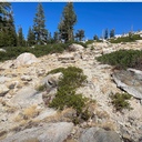 Tyler Trail conditions
